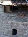Templo Mayor 491