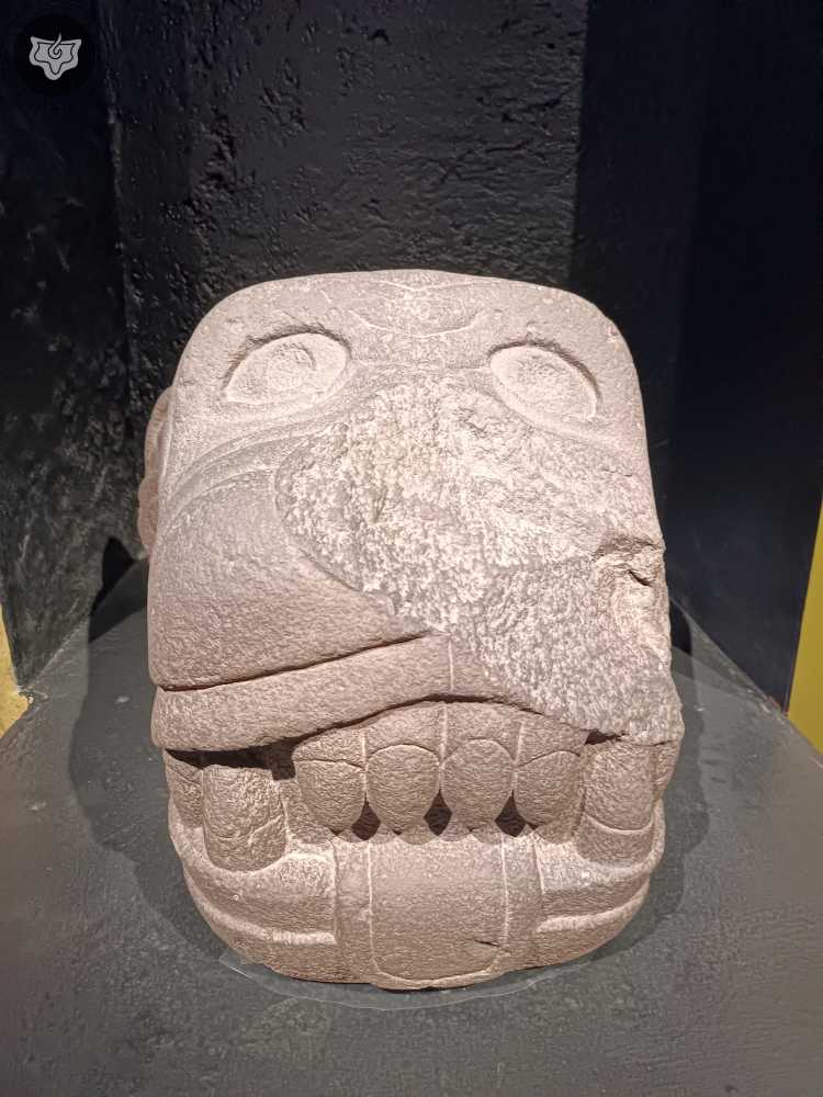 Templo Mayor Foto 0558