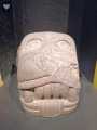 Templo Mayor 558