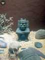 Templo Mayor 592