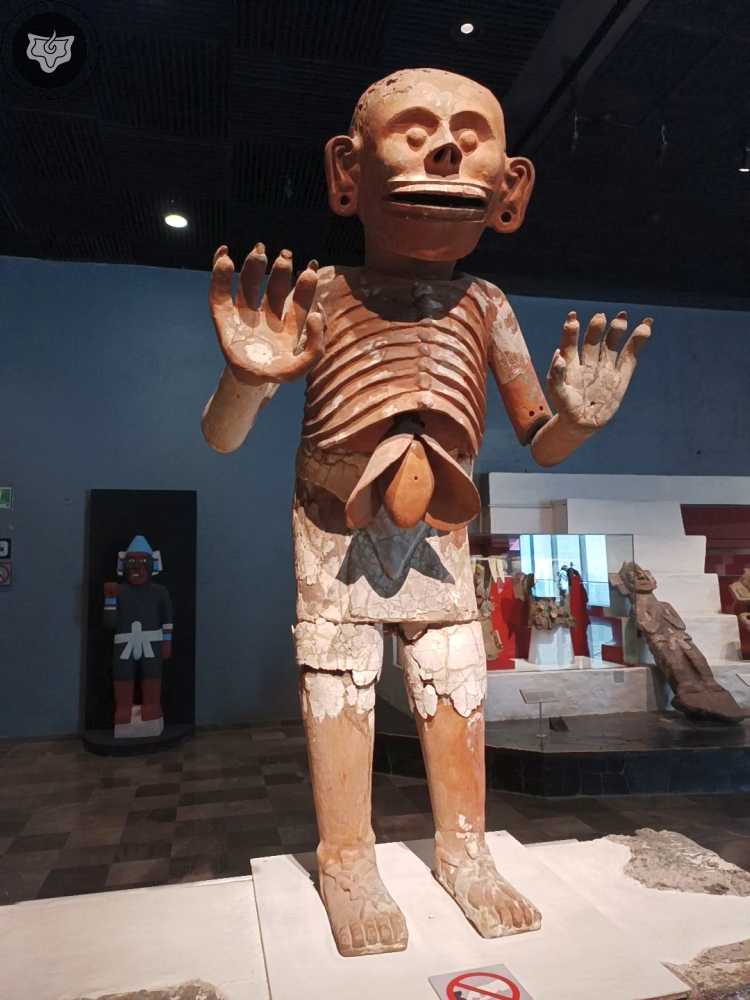 Templo Mayor Foto 0622