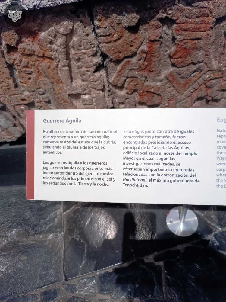 Templo Mayor Foto 0626