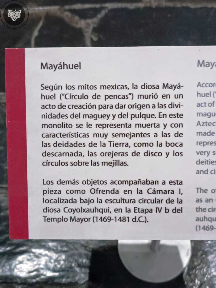 Templo Mayor Foto 0644