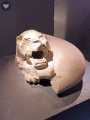 Templo Mayor 689