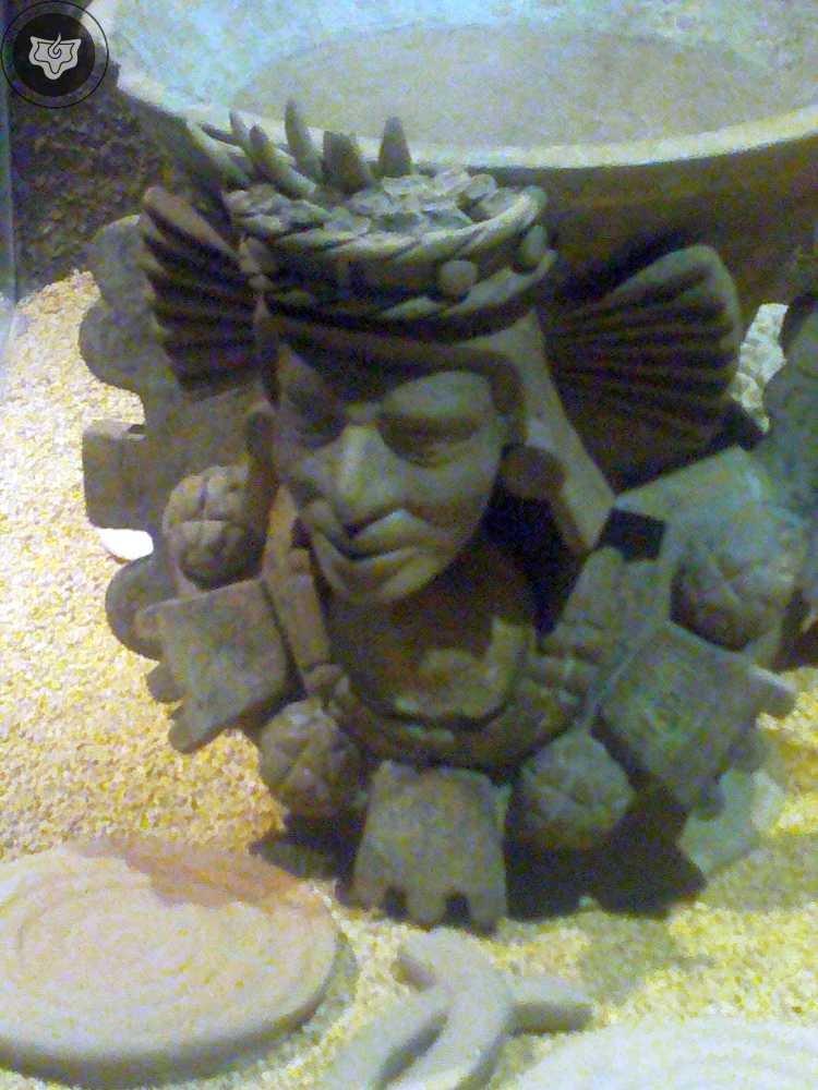 Templo Mayor Foto 0781