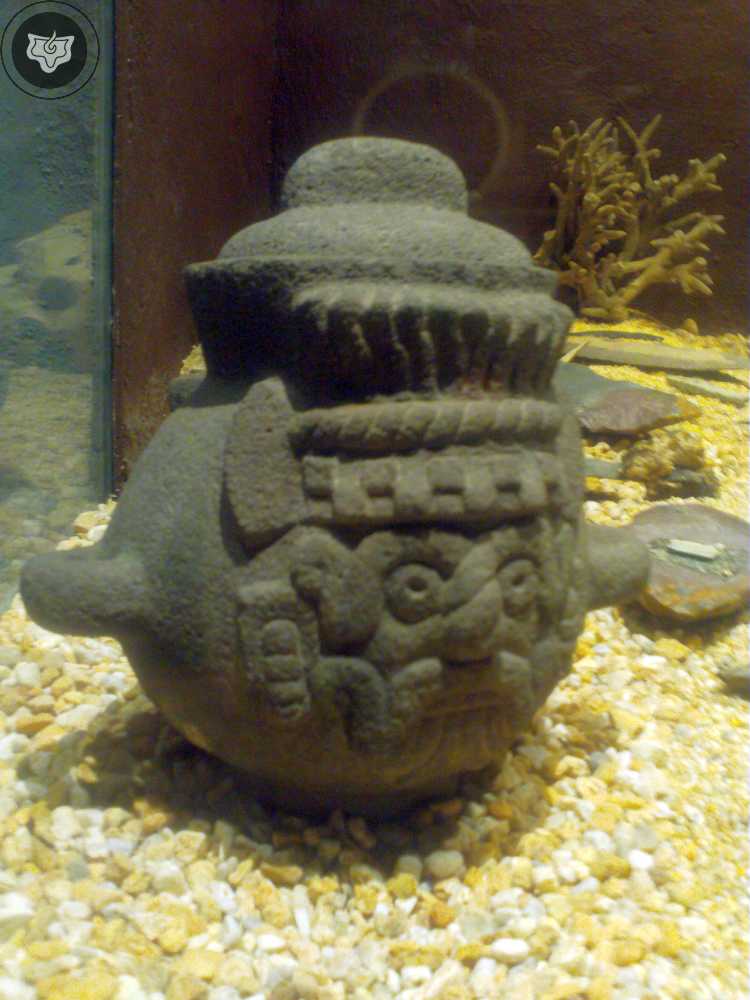 Templo Mayor Foto 0798