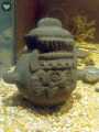 Templo Mayor 798