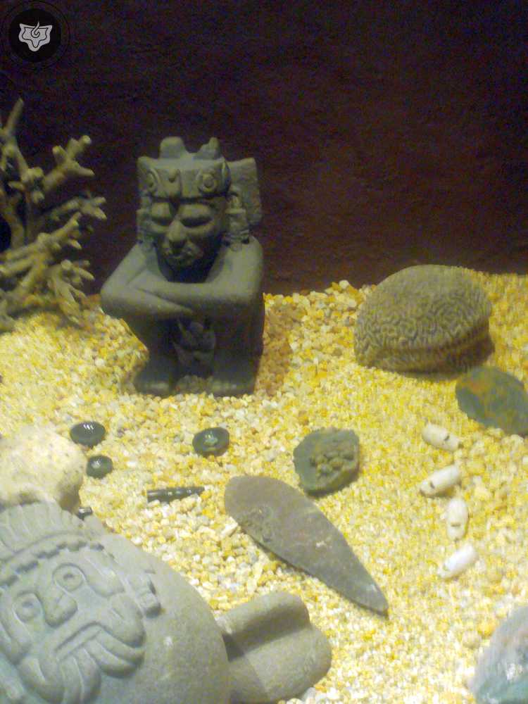 Templo Mayor Foto 0800