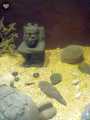 Templo Mayor 800
