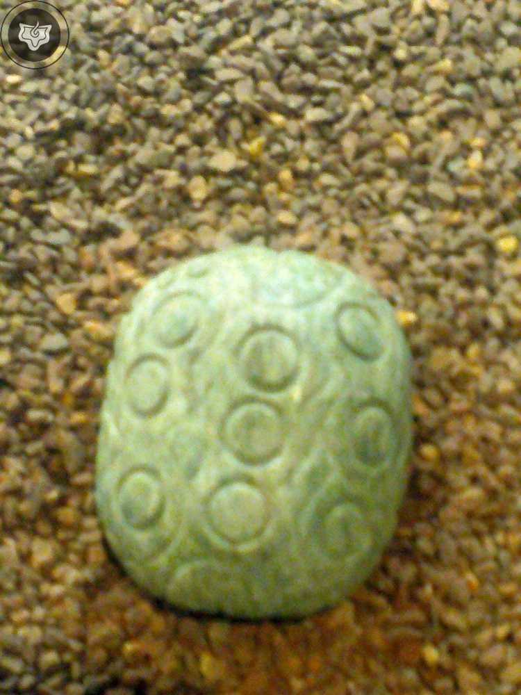 Templo Mayor Foto 0847
