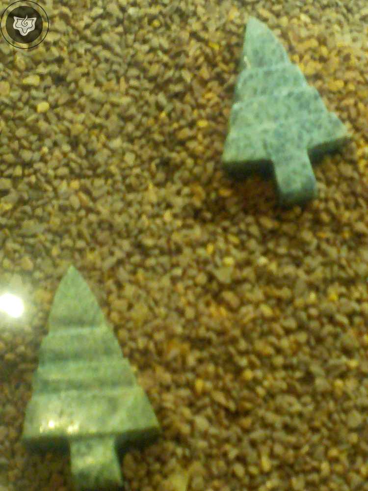 Templo Mayor Foto 0848