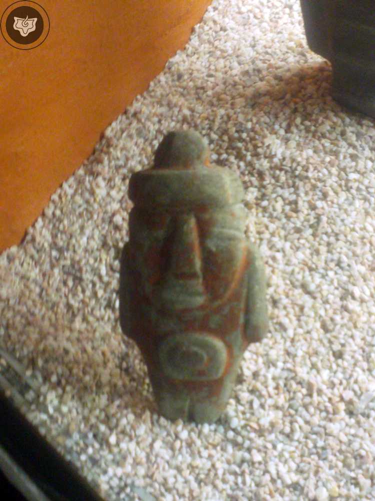Templo Mayor Foto 0864