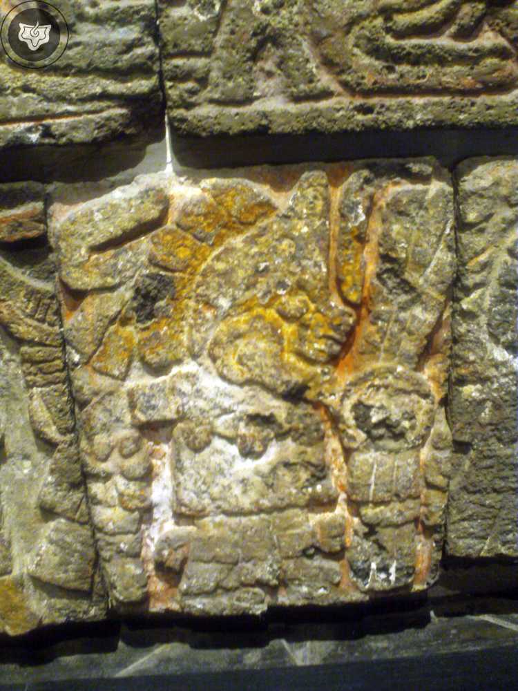 Templo Mayor Foto 0894