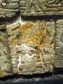 Templo Mayor 894