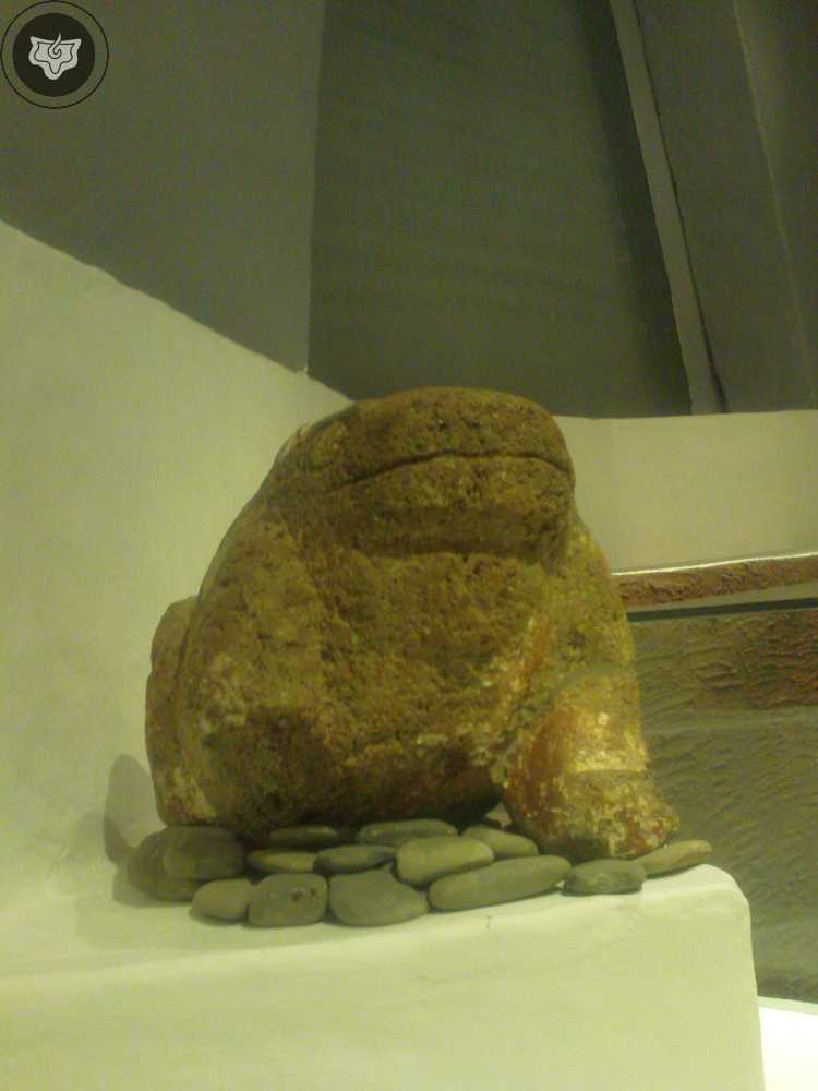 Templo Mayor Foto 0925
