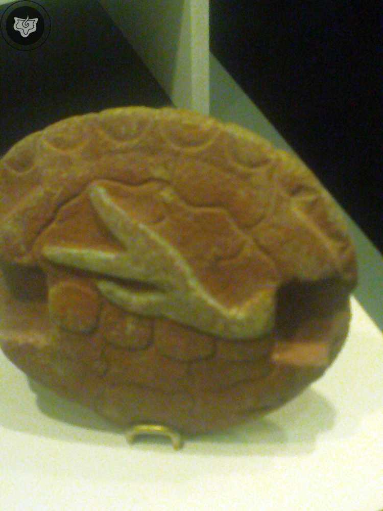 Templo Mayor Foto 0933