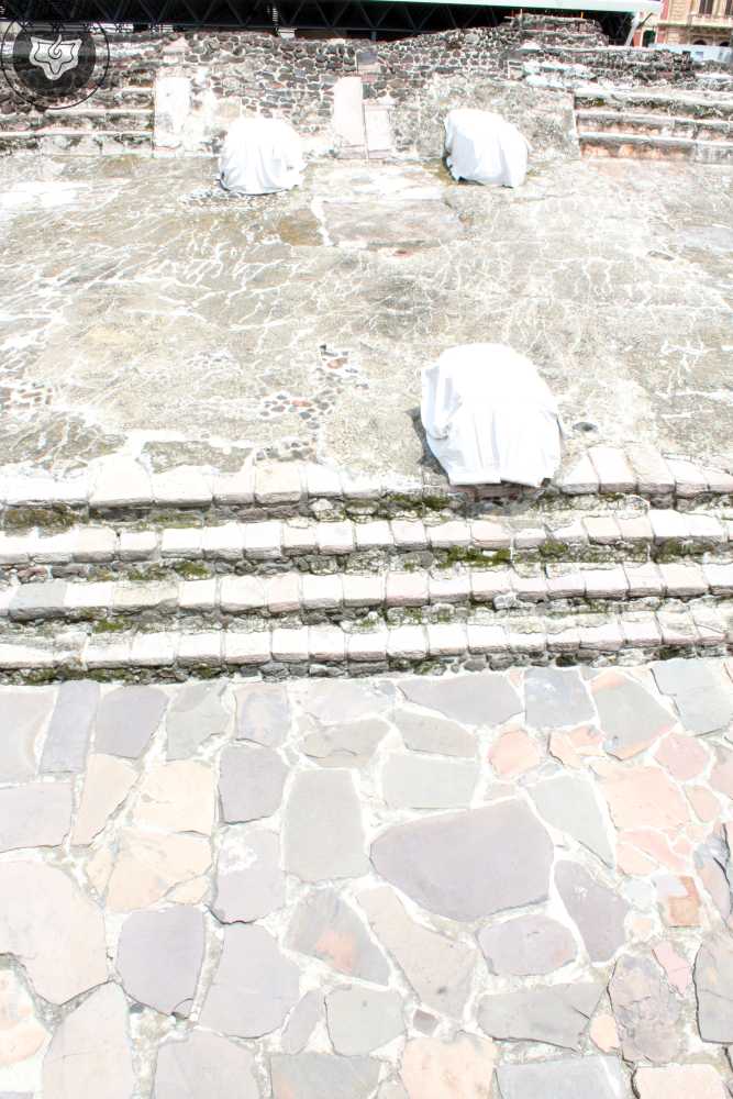 Templo Mayor Foto 0935
