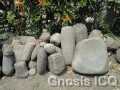 Chanal 57