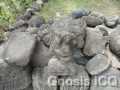 Chanal 66
