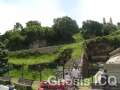 Cholula 007