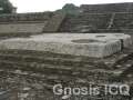 Cholula 102