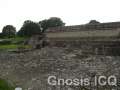 Cholula 104