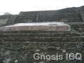 Cholula 106