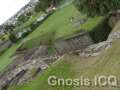Cholula 118