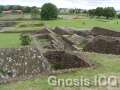 Cholula 126