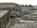 Cholula 128