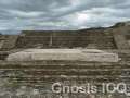 Cholula 138