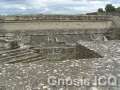 Cholula 139