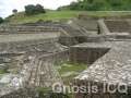 Cholula 140