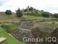 Cholula 154