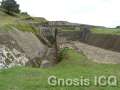Cholula 155