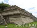 Cholula 157