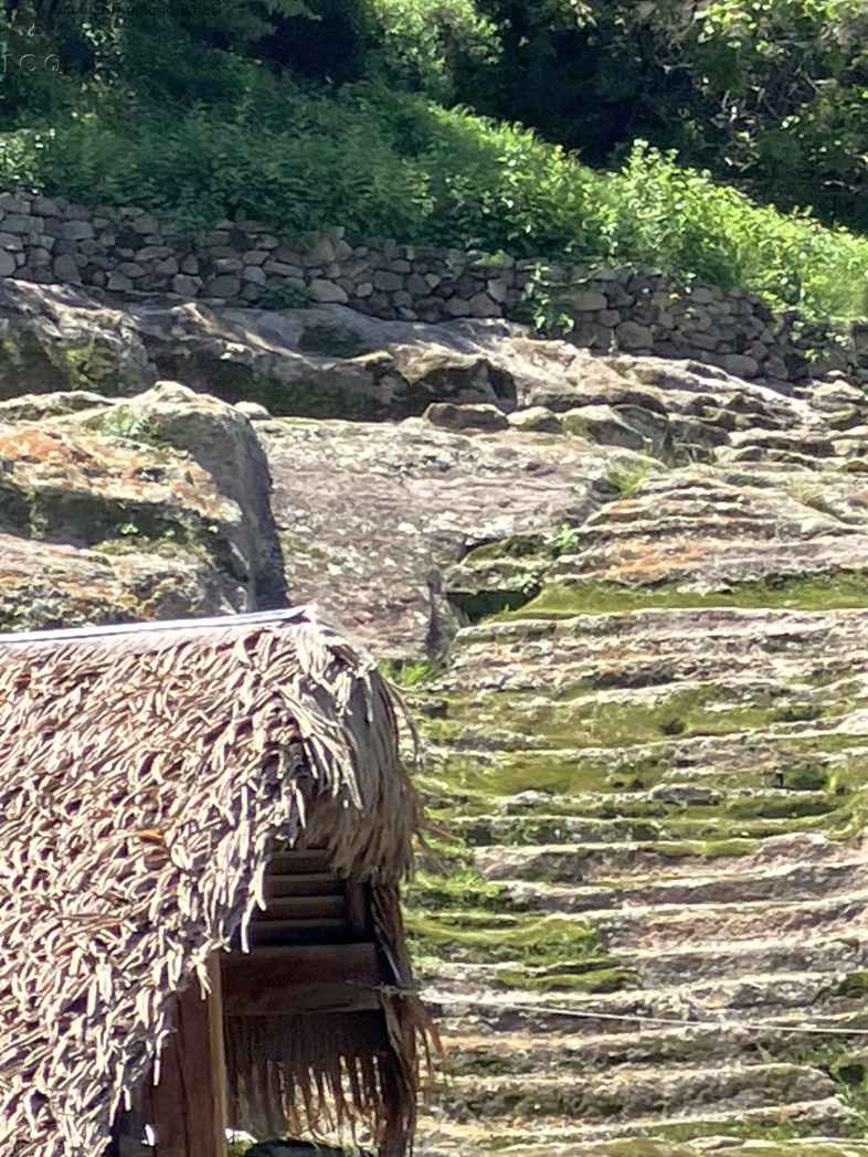 Zona Arqueológica de Malinalco Foto 041