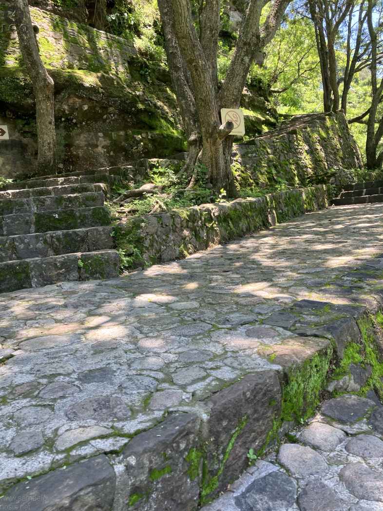 Zona Arqueológica de Malinalco Foto 083