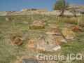 Plazuelas 077