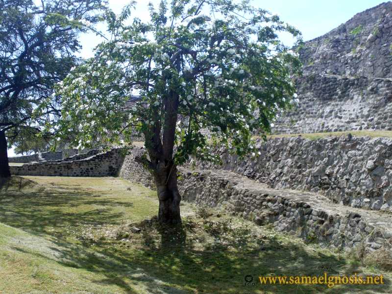 Zona Arqueológica de Xochicalco Foto 0170