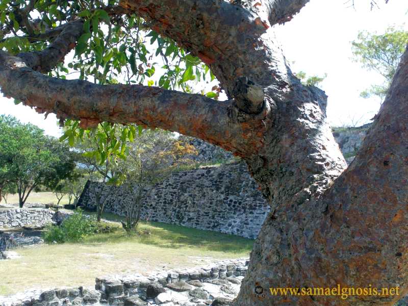 Zona Arqueológica de Xochicalco Foto 0199