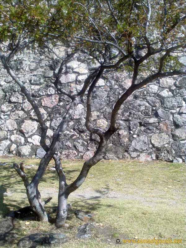 Zona Arqueológica de Xochicalco Foto 0282
