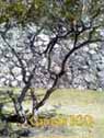 Xochicalco 0282
