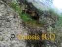 Xochicalco 0287