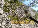 Xochicalco 0293