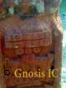 Xochicalco 0674