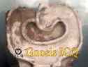 Xochicalco 0771