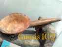 Xochicalco 0791