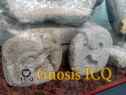 Xochicalco 0835