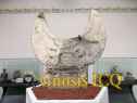 Xochicalco 0965